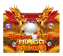 bingo by หวย ชัวร์ 100